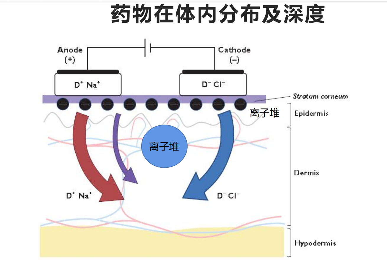 中醫(yī)定向透藥治療儀.png