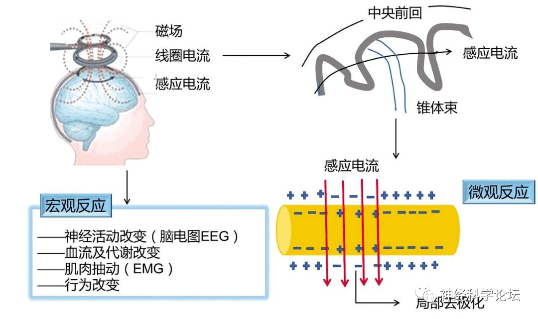 微信圖片_20220408174621.png